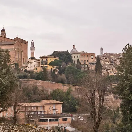 My Honeyed Corner * シエーナ